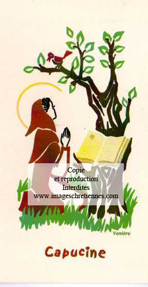 carte saint patron pour le prenom capucine